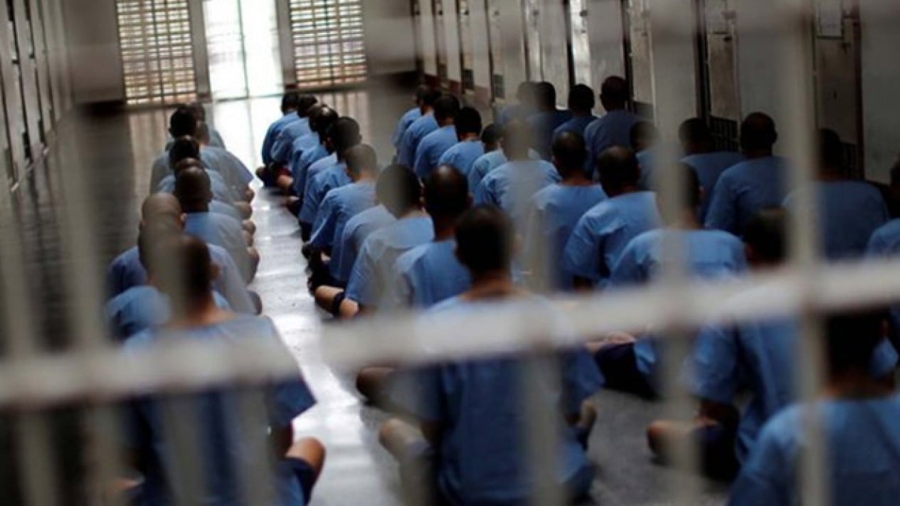 174,791 Prisoners and Juvenile Offenders Granted Independence Day Remission, 3,591 Released Immediately