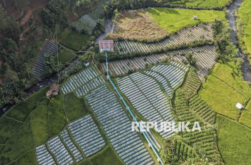 Examining Indonesia's Path to Energy Independence
