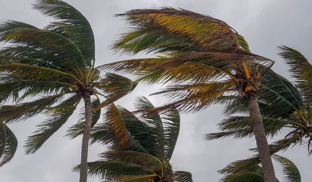 Tropical Cyclones Luis and Maymay Batter the Philippines, 5 Million Residents Affected