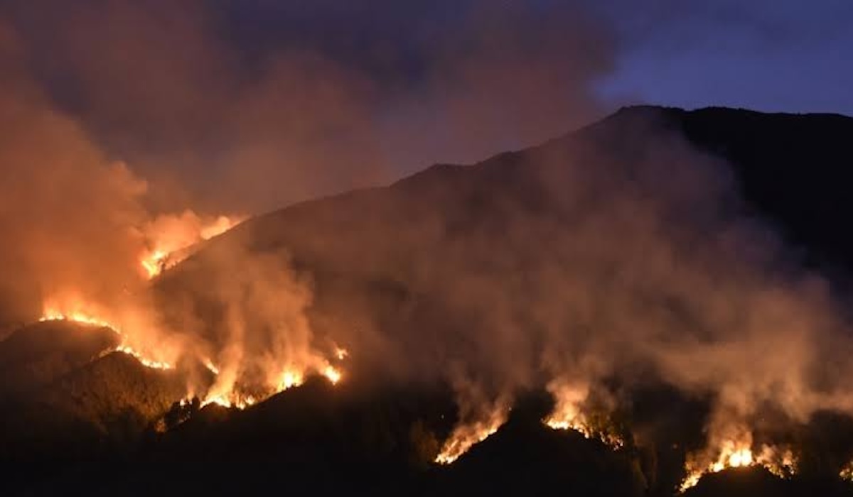 Bromo Fire Under Control, Joint Team Focuses on Cooling Savanna Area