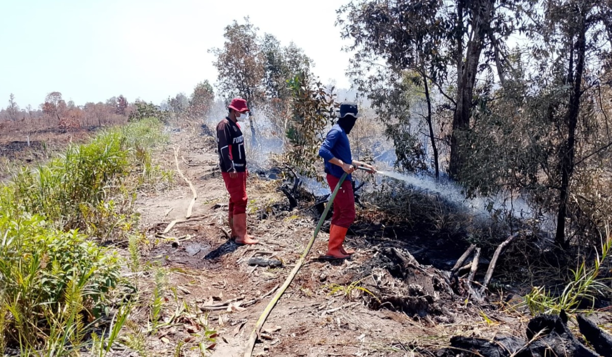 South Kalimantan Forest Fires Spread to Sultan Adam Forest Park, Mandiangin Tourism Closed