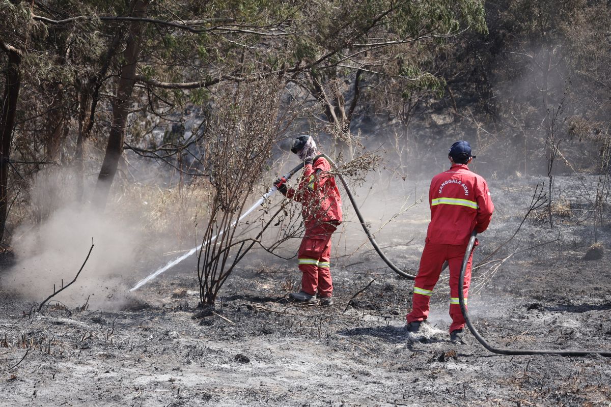 Forestry Ministry continues cooling operations at Bromo fire site to ensure no remaining embers