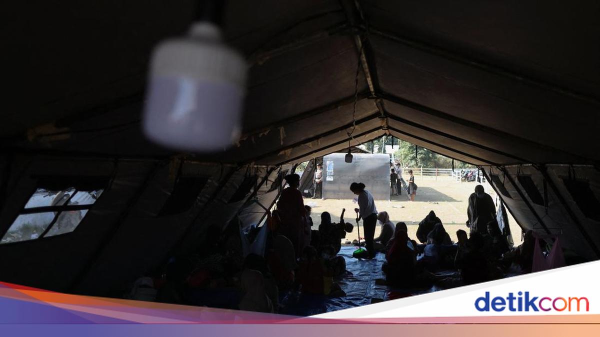 BNPB Reports No More Missing Persons in NTT Earthquake Zone