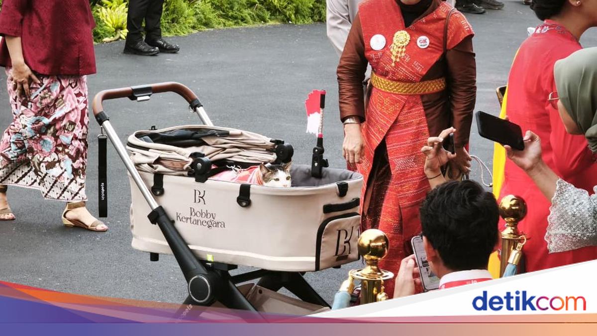 Bobby Kertanegara the Cat Joins 81st Indonesian Independence Day Flag-Lowering Ceremony at the Palace