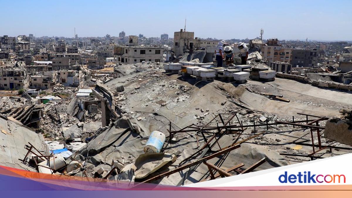 5 Top International News Stories