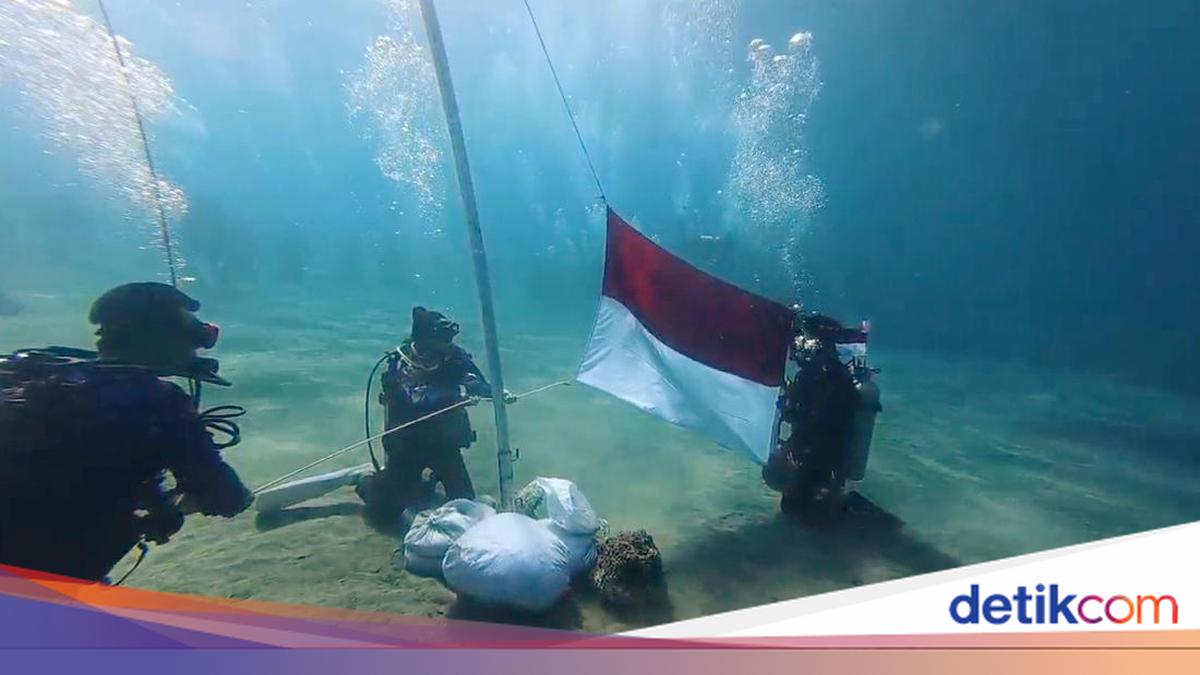 Hundreds of Divers in NTB Raise the Red and White Flag Underwater