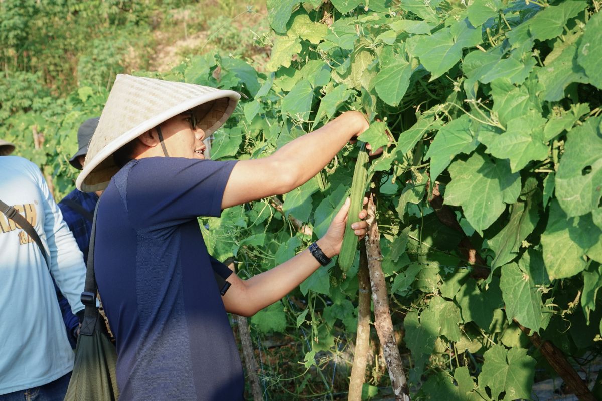 Badak LNG Develops Sustainable Agriculture in Bontang to Tackle Drought and Pests