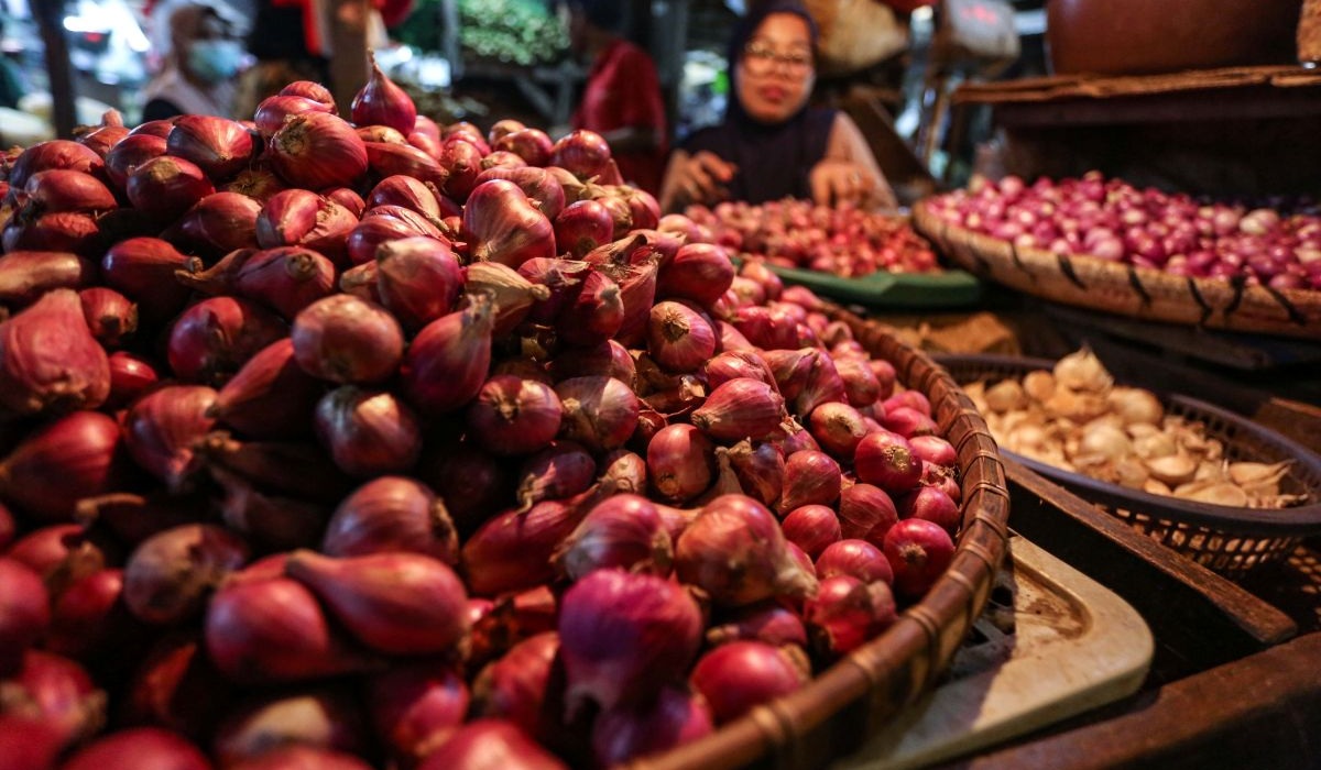 BPS: Shallot Prices Fall Significantly in Second Week of August