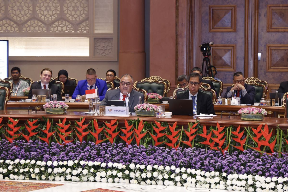 Indonesia shares community engagement practices for climate action at BRICS forum