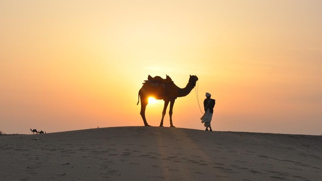 World's Largest Camel Population Turns Out to Be Near Indonesia