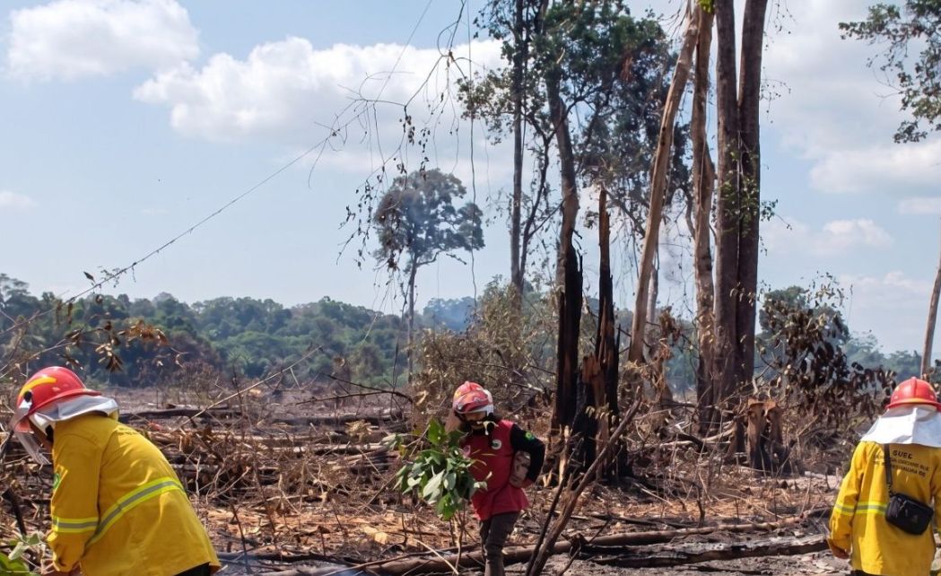East Kalimantan Forestry Service Allocates Rp19 Billion in FCPF Carbon Funds for Forest Fire Mitigation