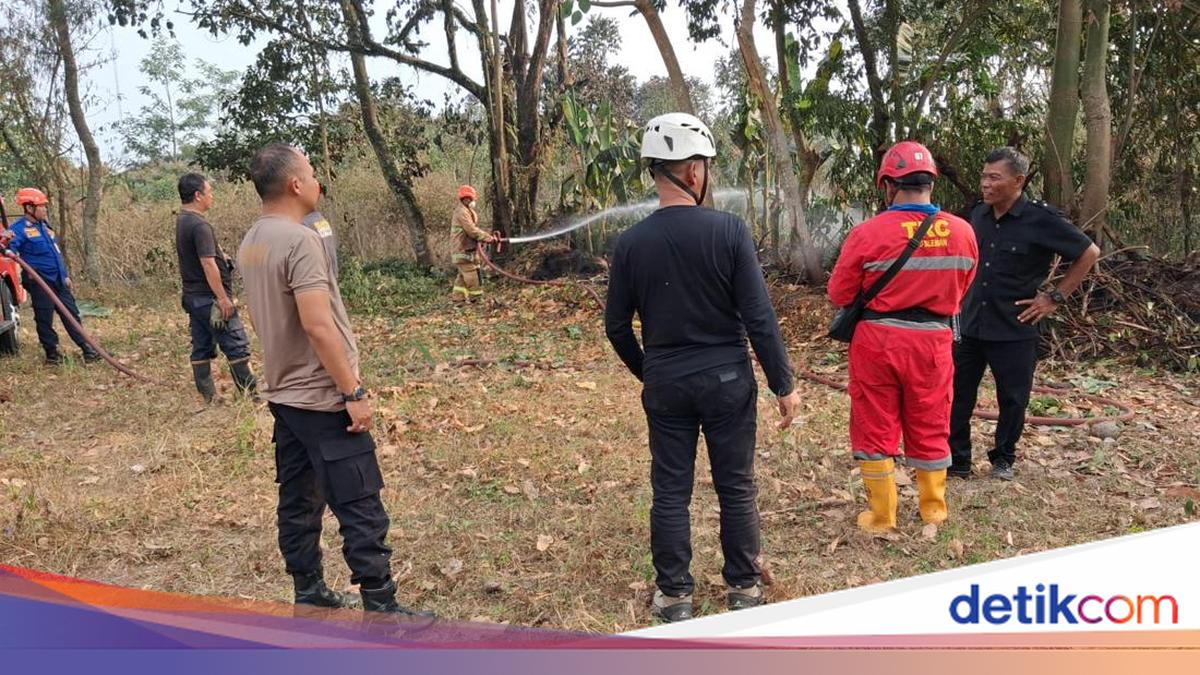 Vacant Land in Ngaglik, Sleman Catches Fire