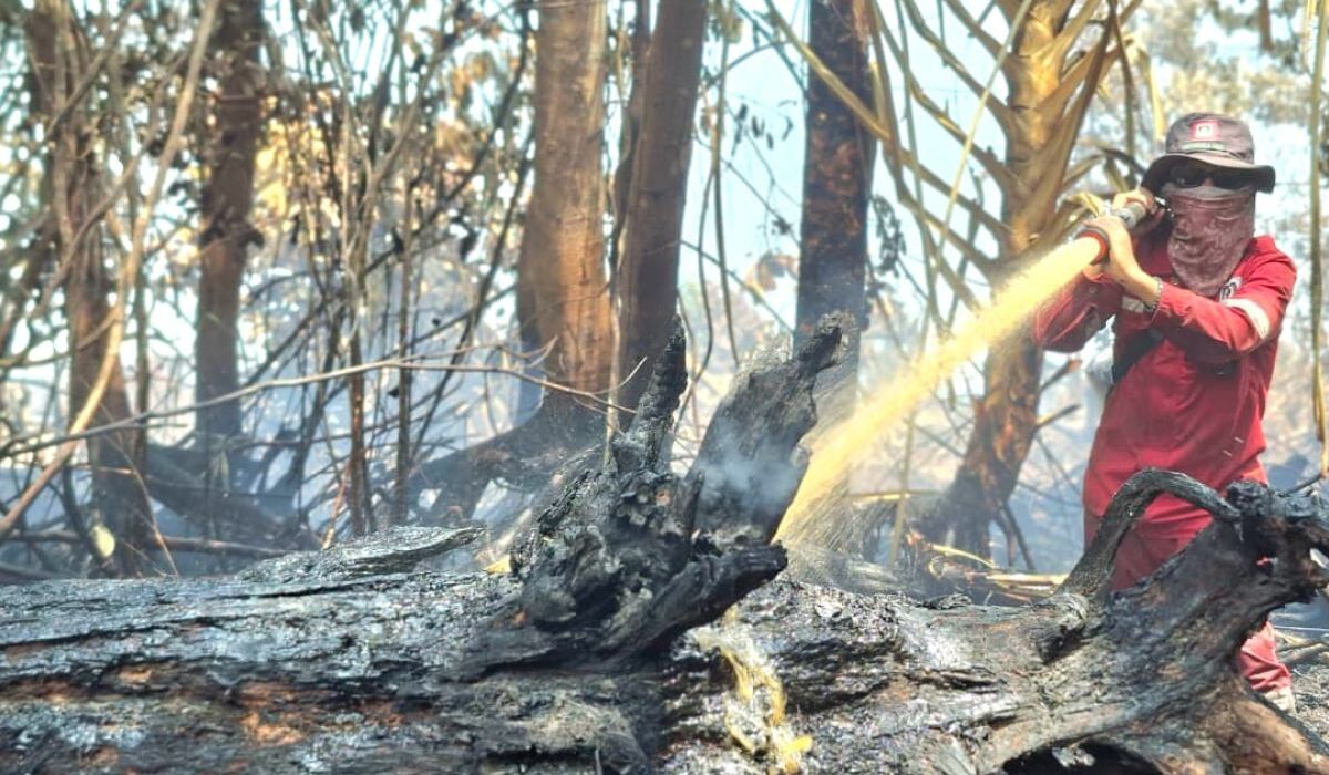 Forest and Land Fires in Indragiri Hulu, Riau Reach 434 Hectares; Dense Vegetation and Scarce Water Sources Hamper Extinguishing Efforts