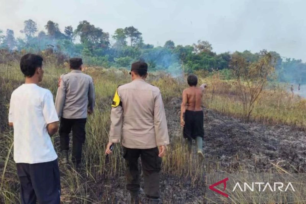 Forestry Minister: BMKG early warning boosts forest fire anticipation