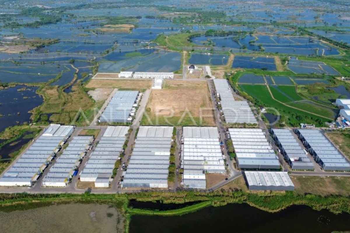 Property consultant: Warehouse occupancy in Greater Jakarta reaches 95 percent