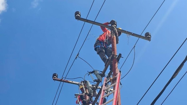PLN Successfully Restores Flores Electricity System After Earthquake