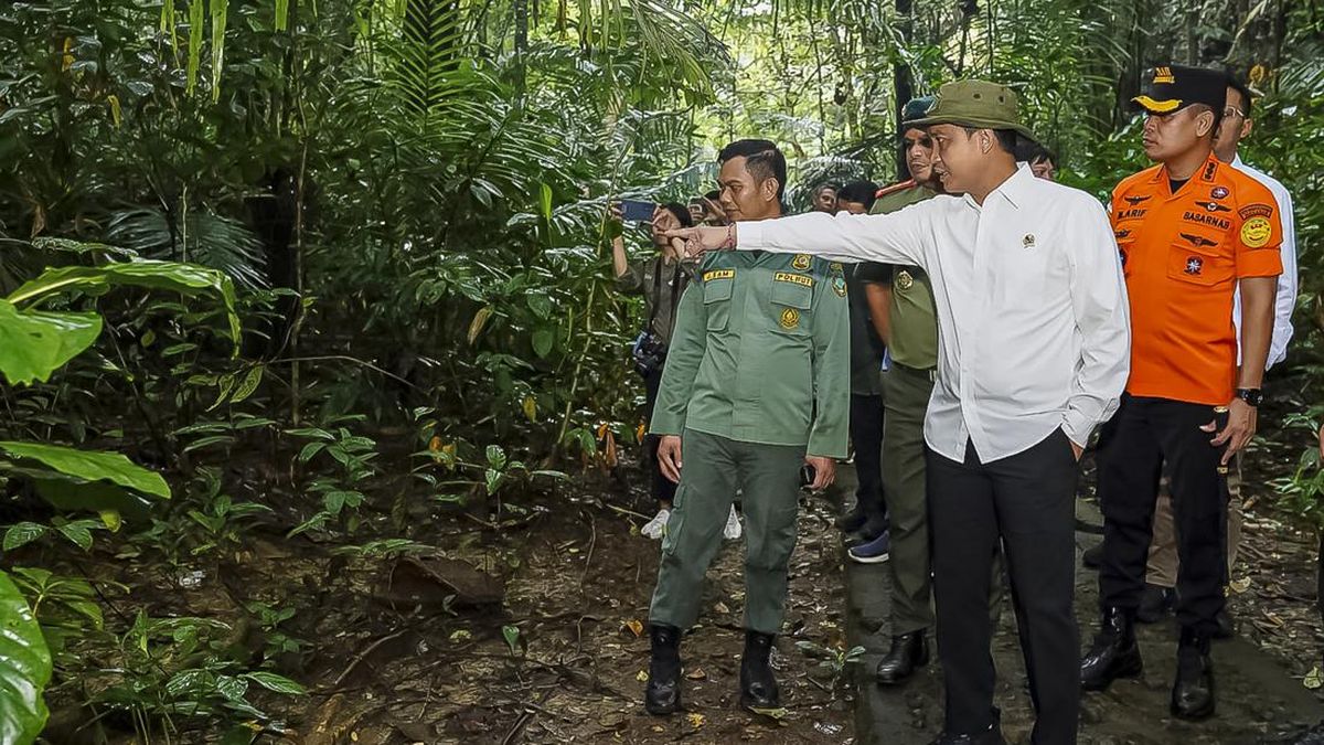 Raja Juli's Subordinates Examined in PT TPL Transfer Pricing Corruption Case