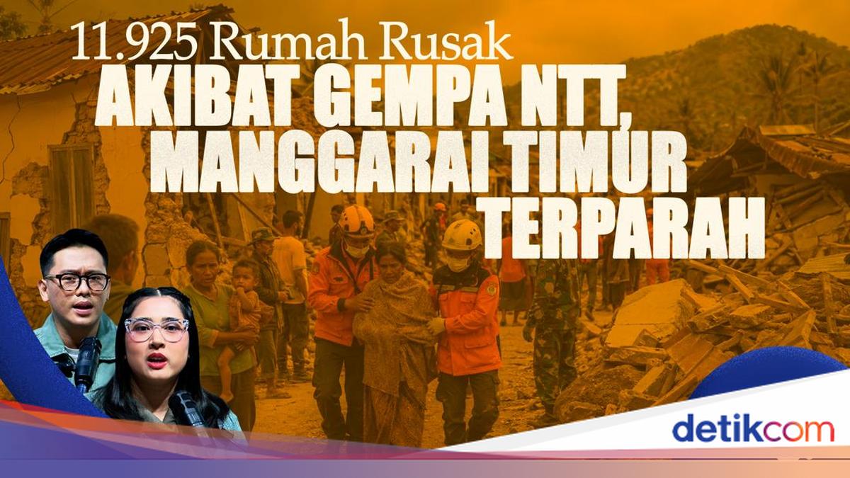 11,925 Homes Damaged by NTT Earthquake, East Manggarai Worst Affected