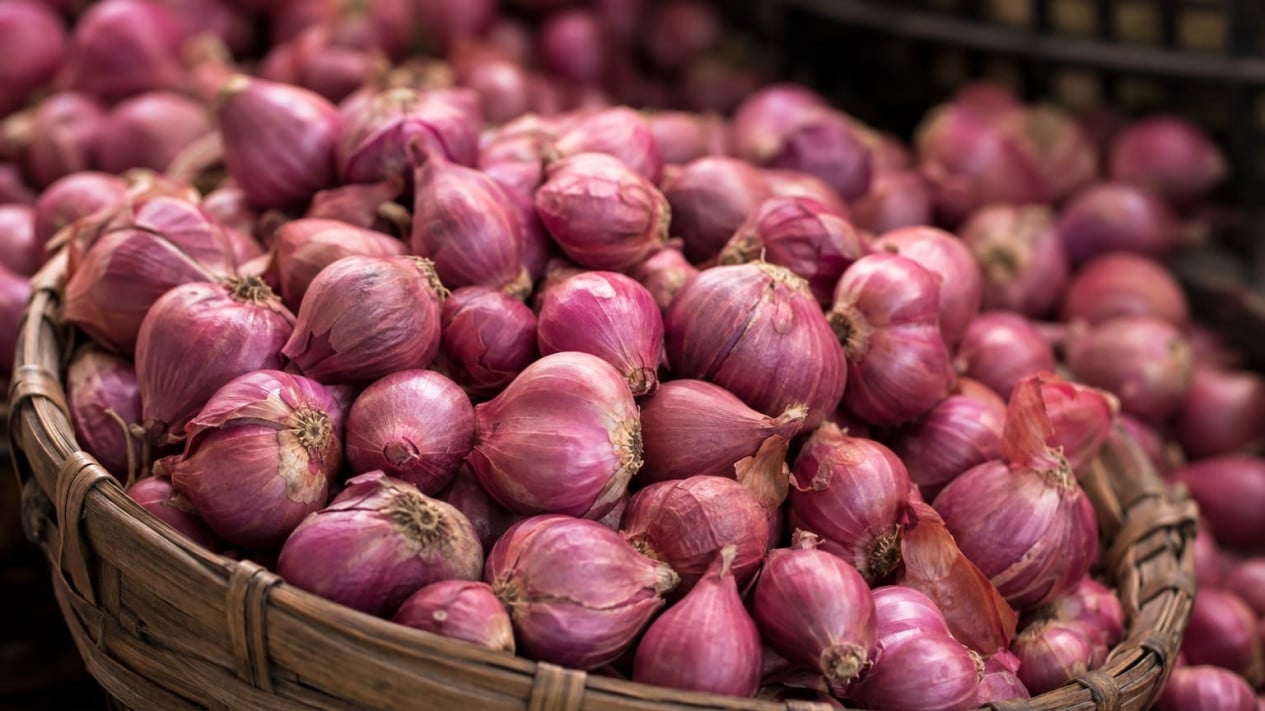 Can Shallots Be a Source of Profit? Here Are 8 Business Ideas You Can Try from Home