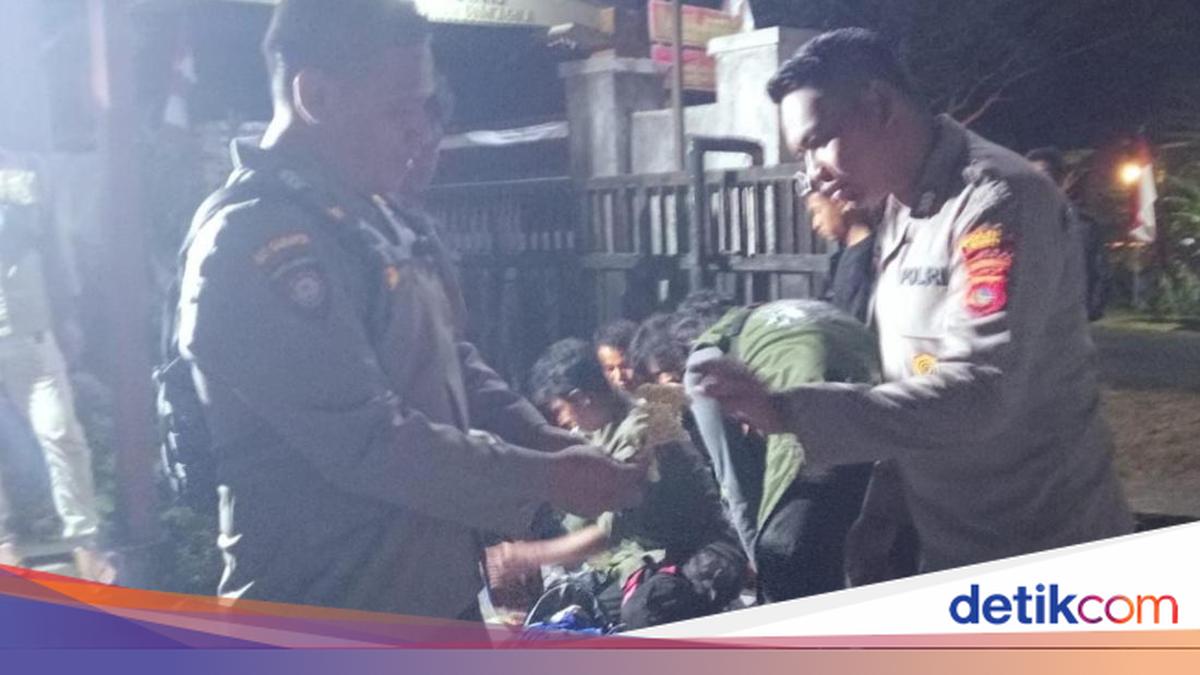13 Climbers Caught Picking Edelweiss Flowers and Littering on Mount Tambora