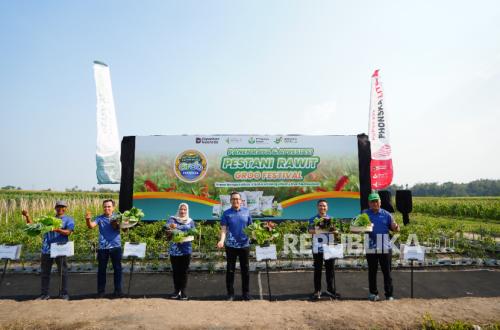Petrokimia Gresik Boosts Cayenne Pepper Productivity, Harvest Up 15 Percent
