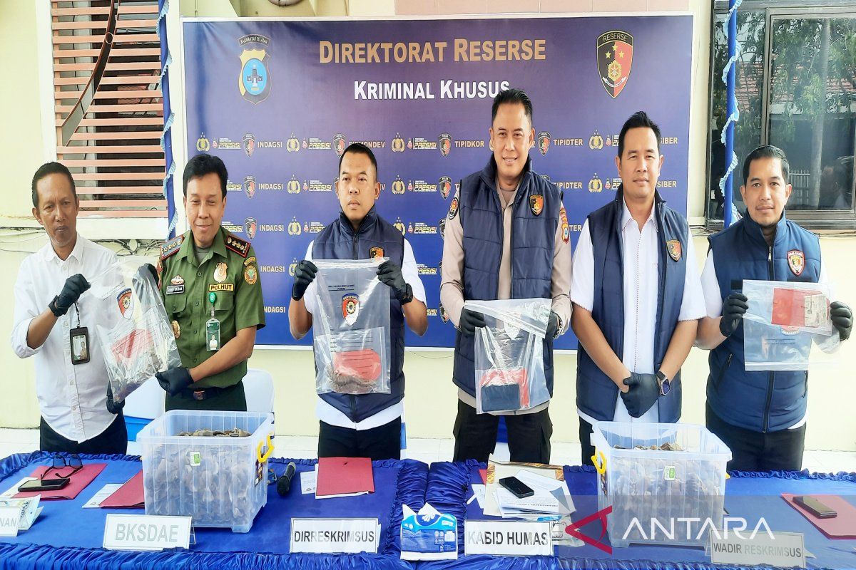 South Kalimantan Police foil pangolin scale smuggling to Vietnam and China
