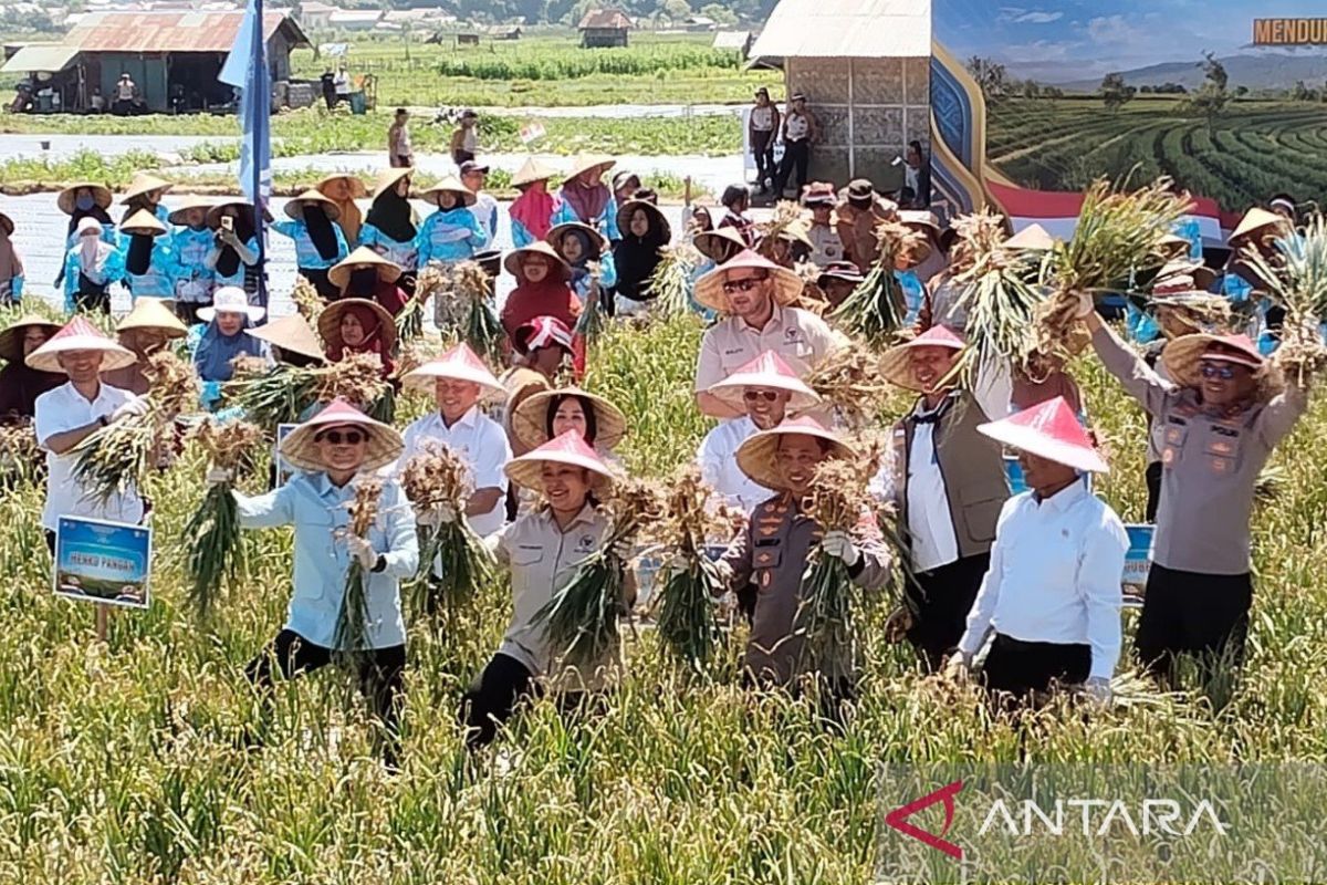 House Commission IV appreciates efforts towards national garlic self-sufficiency