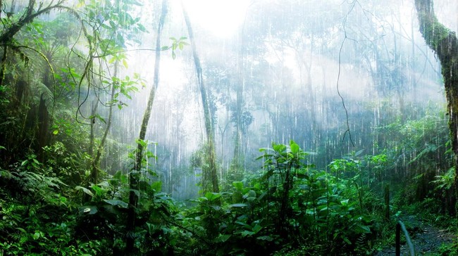 Environmental Protection Budget to Rise Sharply in 2027, What Is It For?