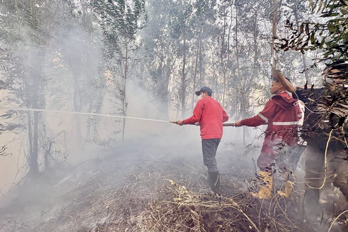 South Kalimantan urged to step up forest fire control