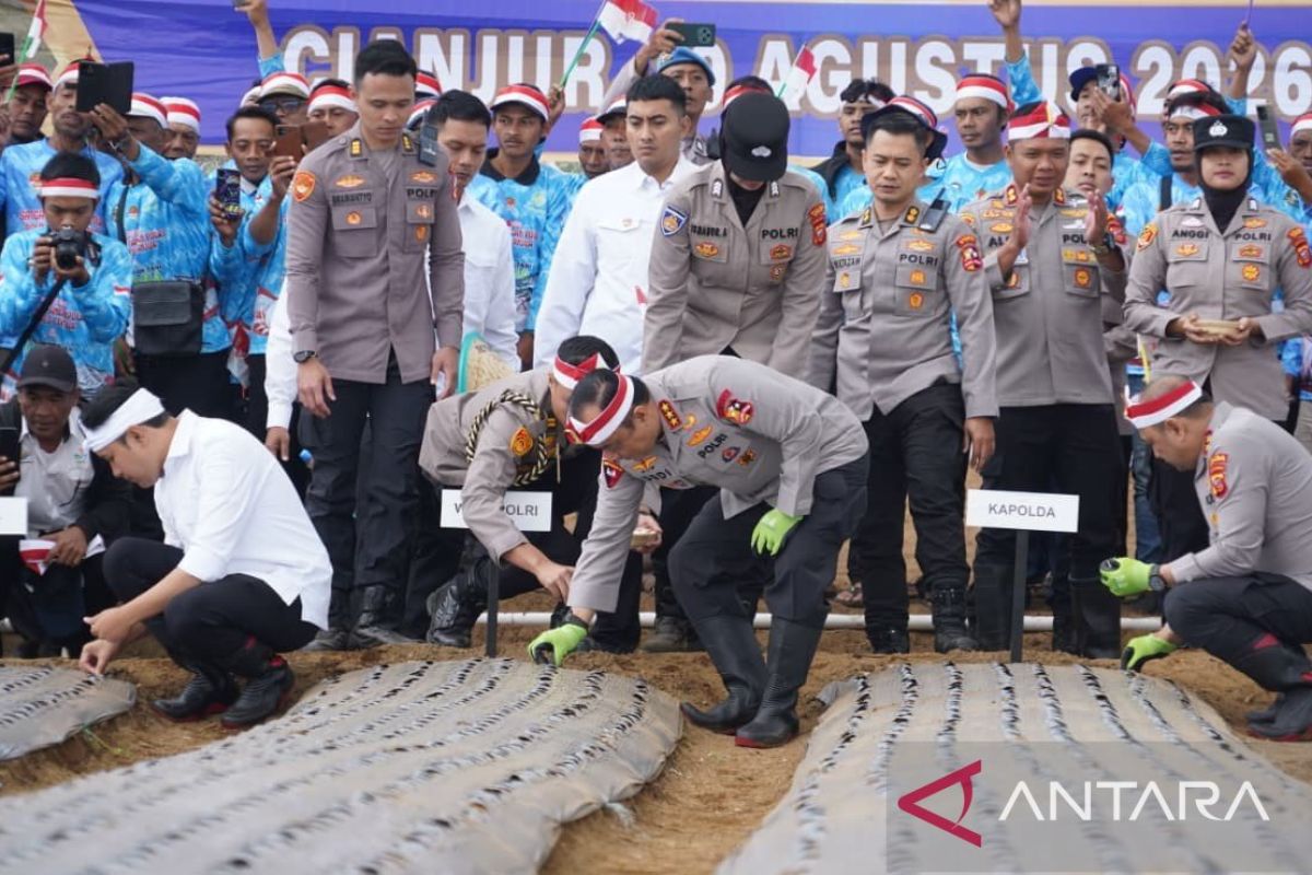 Police plant garlic in 14 West Java regions including Cianjur