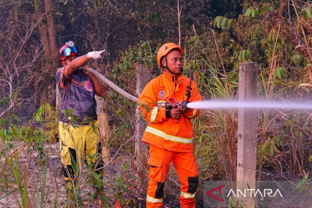 BPBD: Enforcement of land-burning ban is crucial