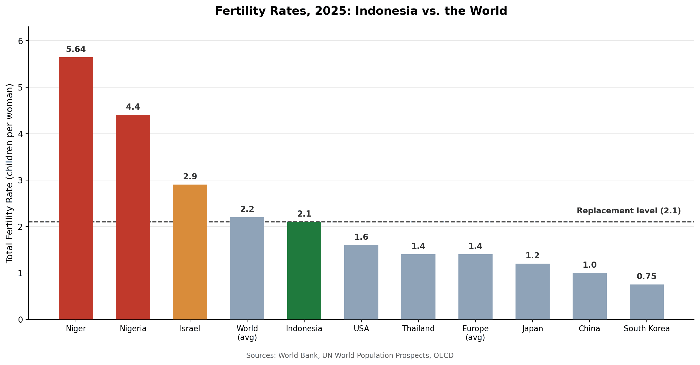 While the World Ages, Indonesia Still Has Time