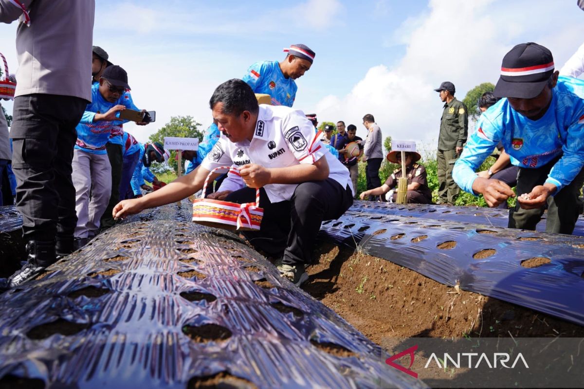 Kerinci Regent ready to oversee garlic development under national programme