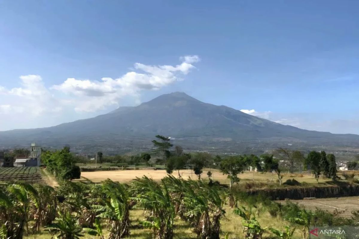 East Java Forestry Service closes Arjuno-Welirang hiking routes due to forest fire