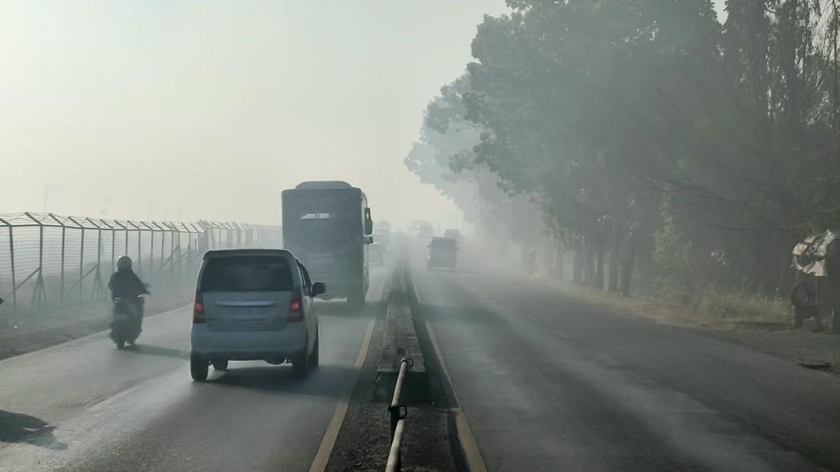 Thick Smoke Disrupts Visibility for Vehicles in Banjarbaru, Traffic Congestion