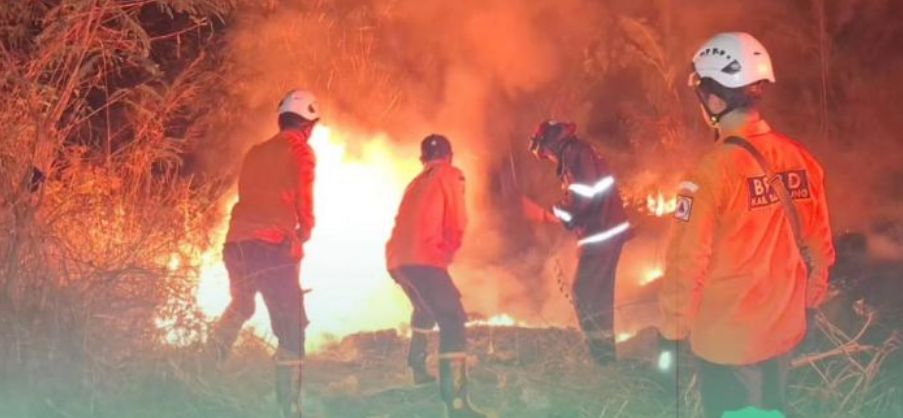 Forest and Land Fires in West Java Spread to 19 Regencies and Cities, Sumedang Worst Affected