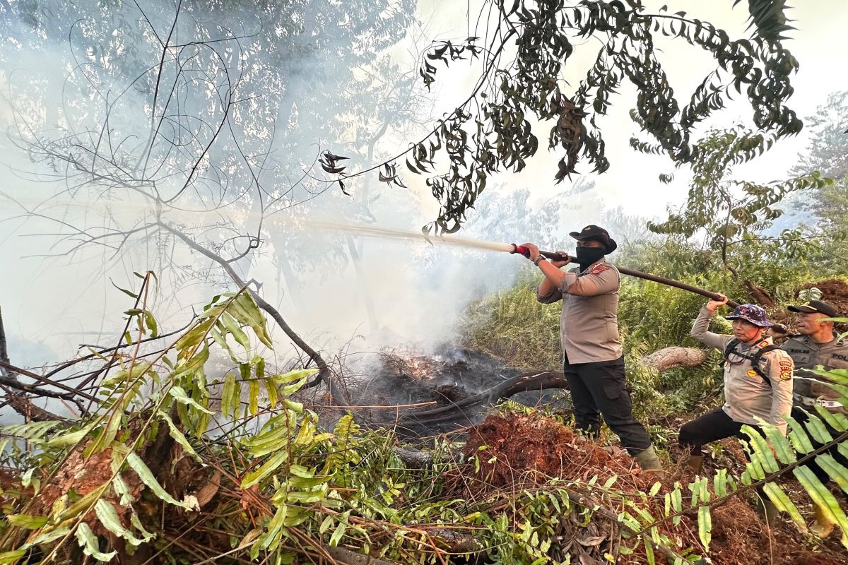 Joint team extinguishes 10-hectare forest fire in Sumatran tiger habitat