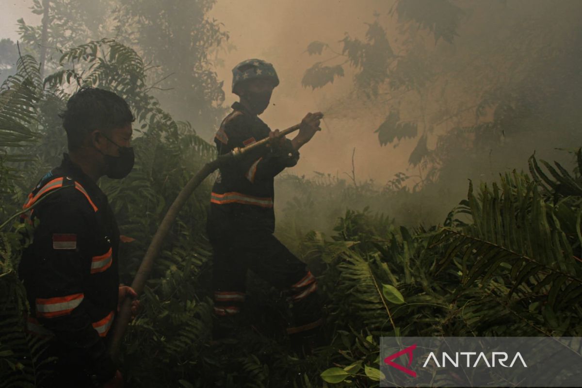 West Kotawaringin Extends Forest and Land Fire Emergency Status