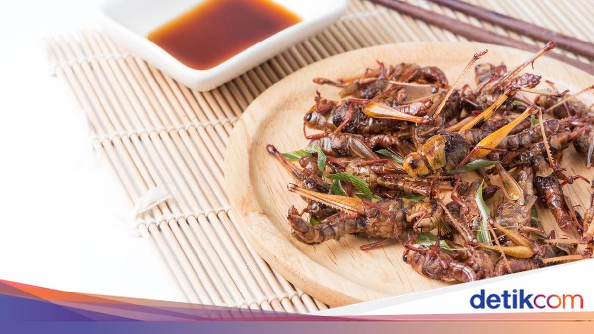 Reason Fried Grasshopper Seller in Gunungkidul Stuffed Jars with Cardboard