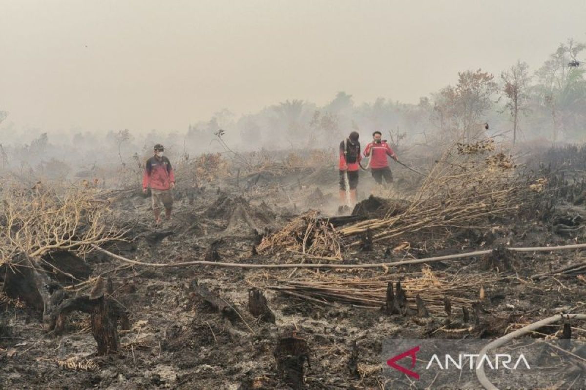 Forestry Minister assures firm action against nature destroyers