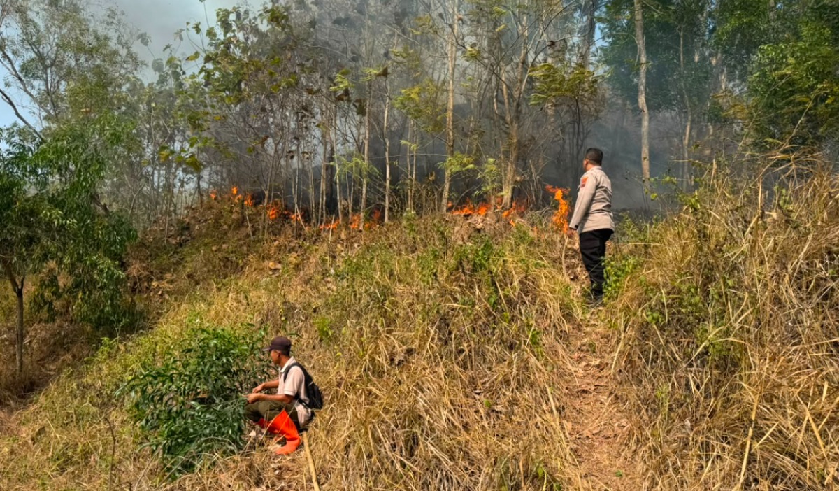 Hillside Land in Kebasen, Banyumas, Catches Fire; Flames Extinguished in 1.5 Hours