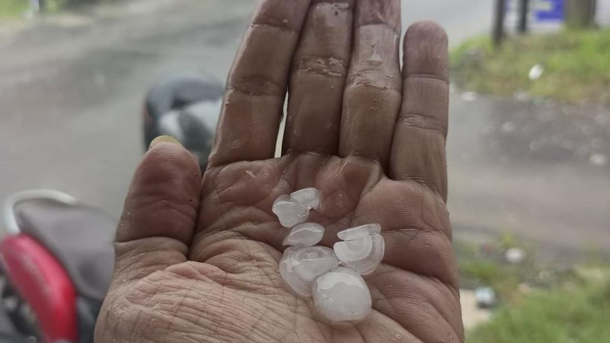 Hailstorm Hits Three Districts in Lanny Jaya, Papua, Causing Crop Failure for Farmers