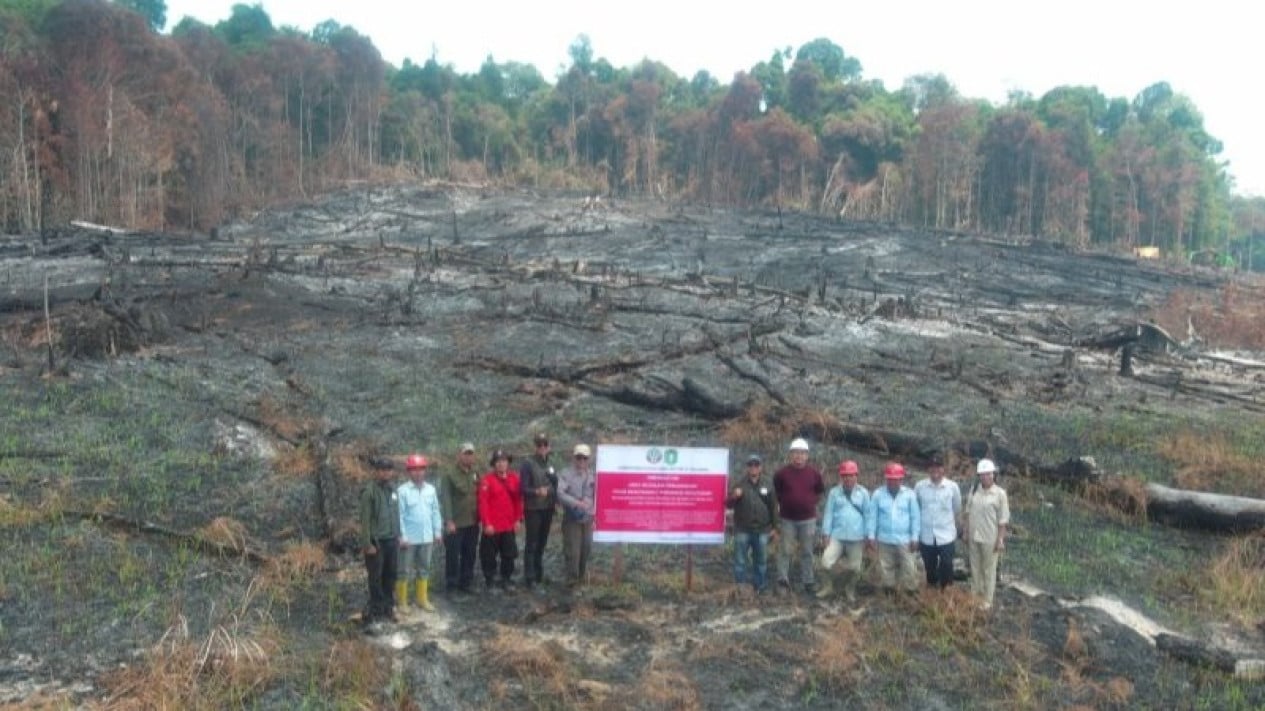 Four Forest Concession Holders in West Kalimantan Tested for Fire Readiness