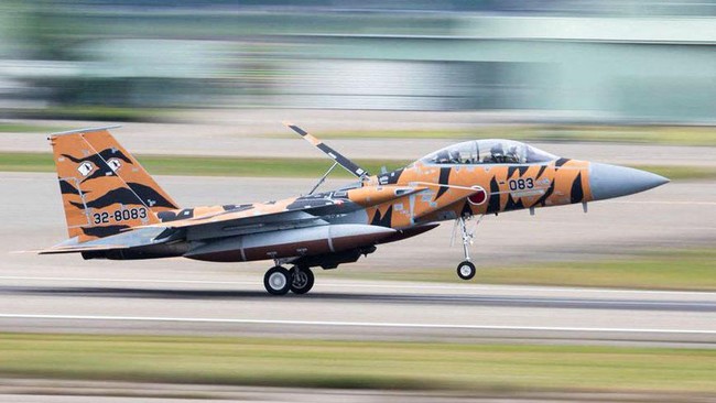 F-15 Fighter Jet Breaks Wheel on Runway, Airport Paralysed for Four Hours