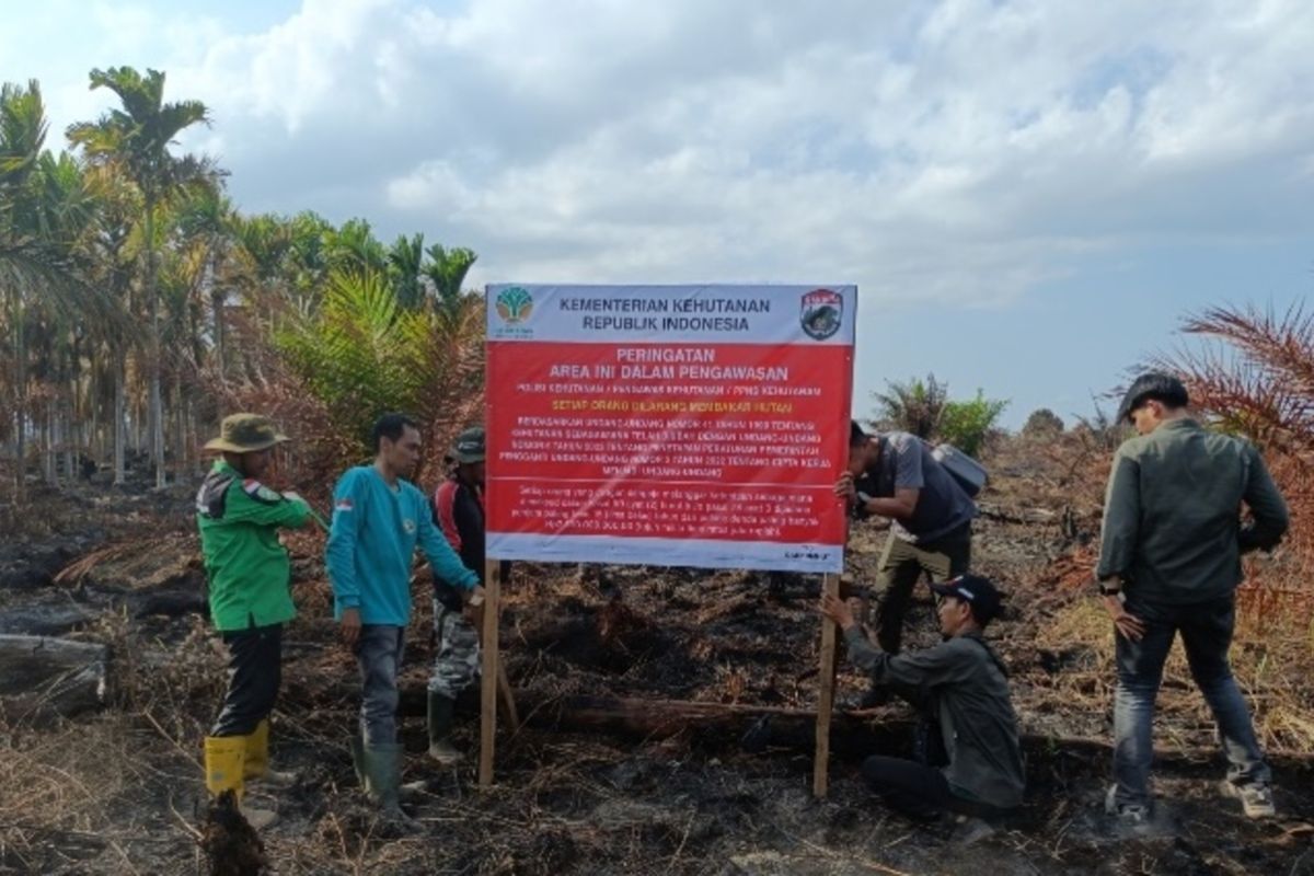 Ministry of Forestry investigates forest fires in production forest area in South Sumatra