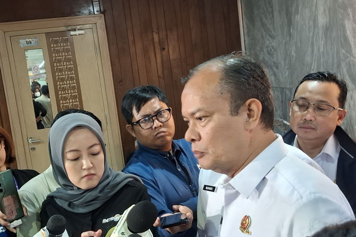 BMKG Chief: Aftershocks in Flores expected to decay over 3-4 weeks