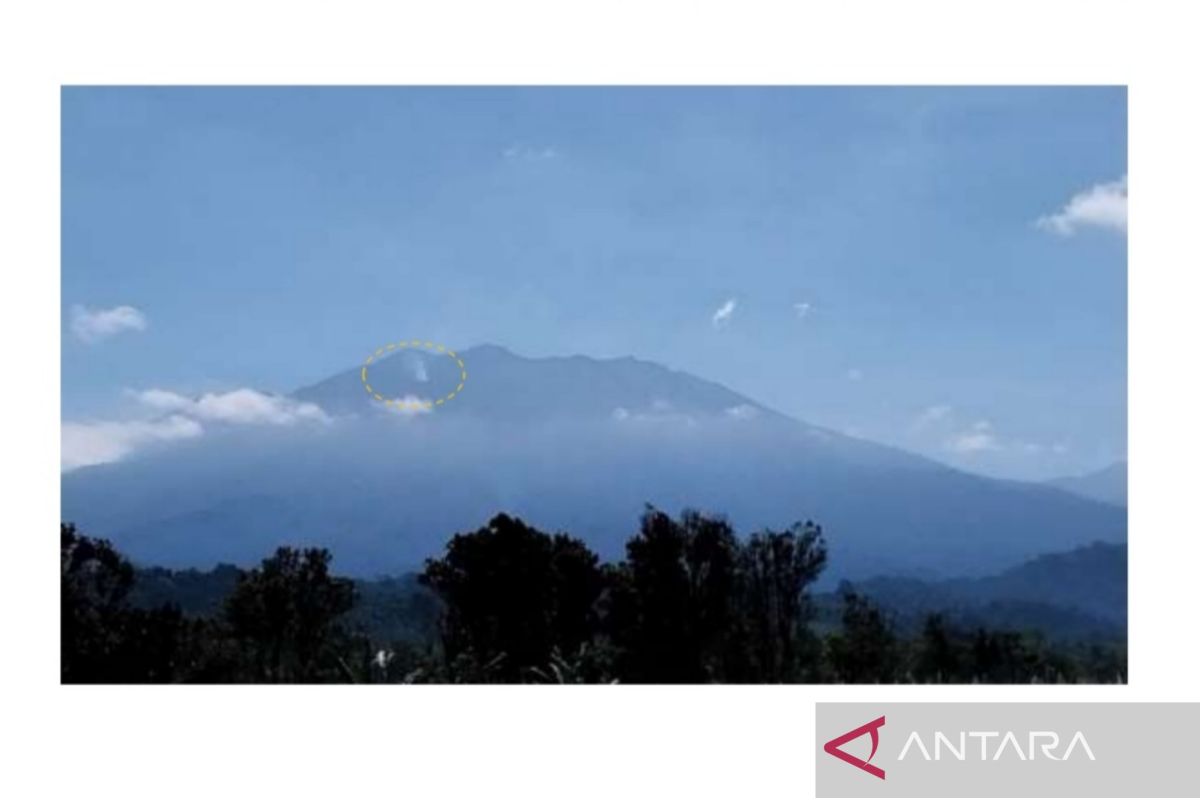 Geological Agency: Smoke on Mount Raung not an eruption but a land fire