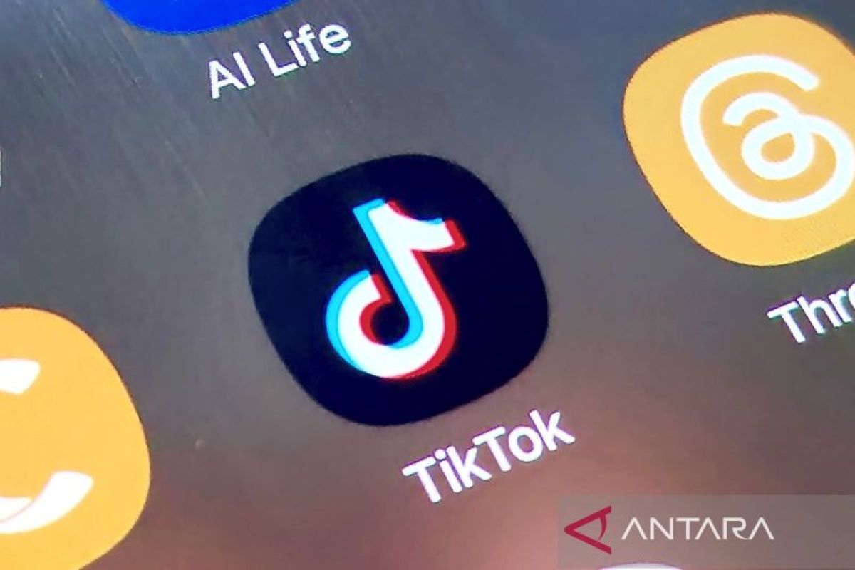 TikTok explores feature for users to send money via DM