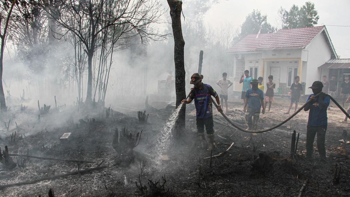 Thick Haze and Thousands of Hotspots from Forest Fires Encircle Kalimantan