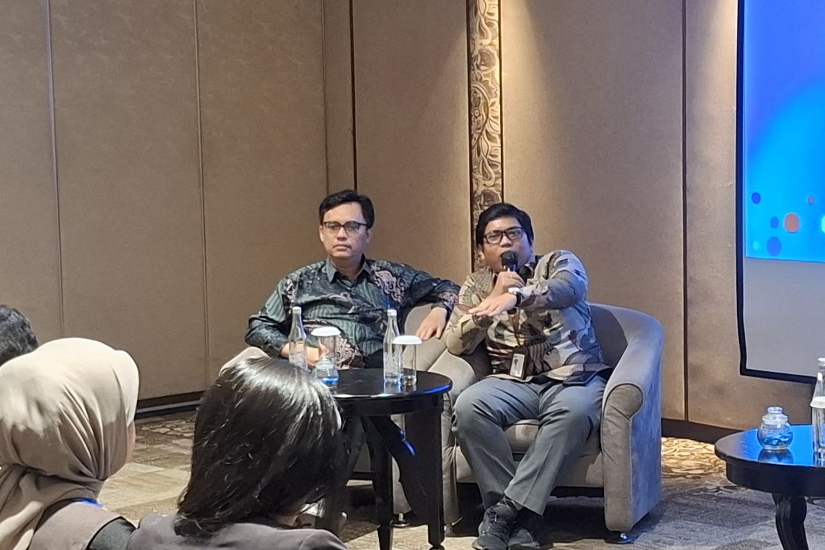 PLN selects government land for solar power and energy storage projects